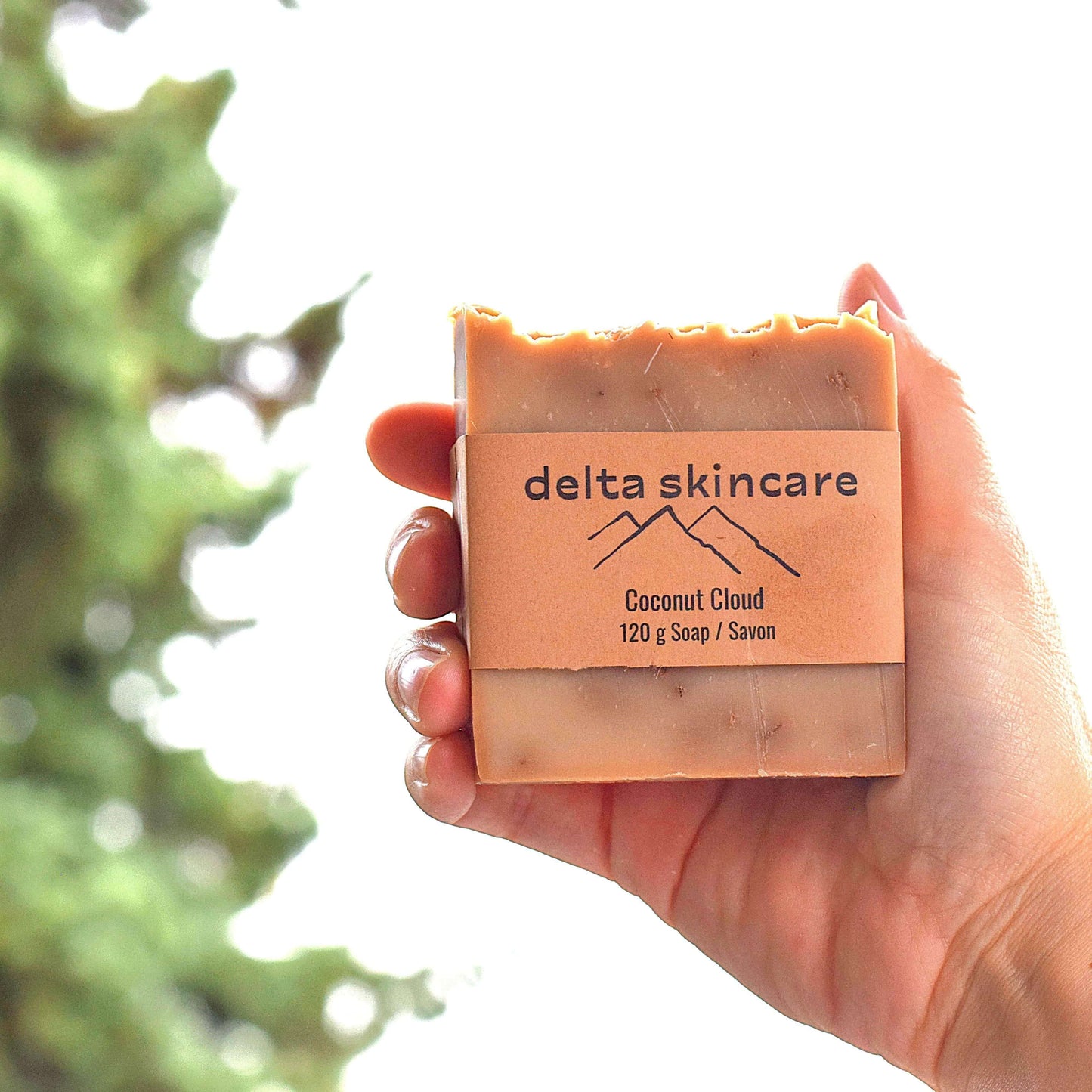 Hand holding a bar of soap labeled 'delta skincare' with a blurred green plant in the background