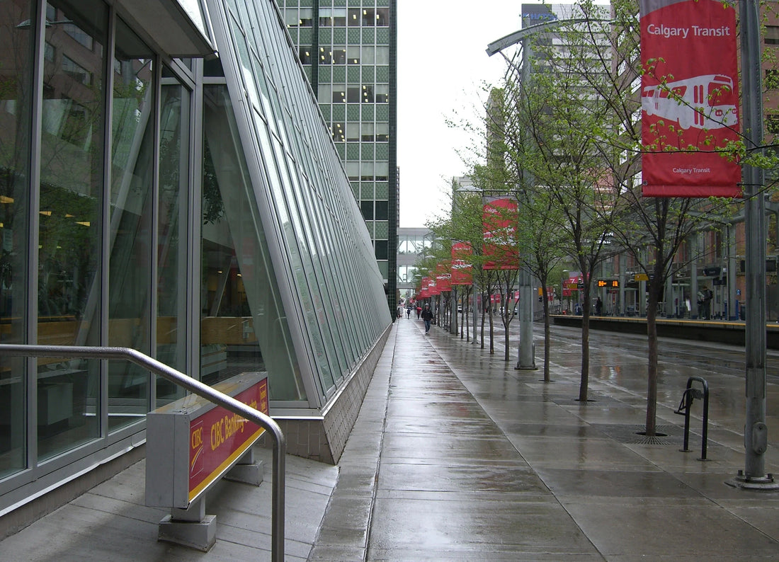 Rainy Calgary sidewalk with glass building, trees, and Calgary Transit banners