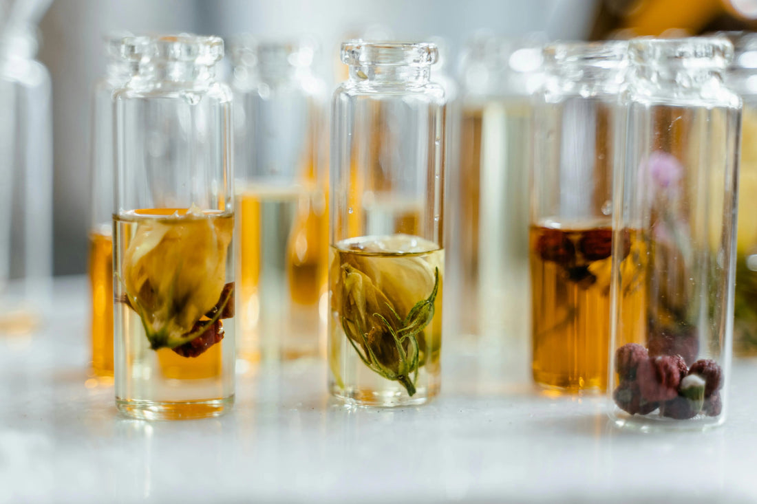 Glass vials with dried flowers and herbs in aromatic herbal infusion on a bright surface