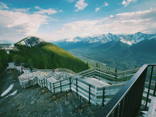 Wooden walkway overlooking pine forest and snow-capped mountains under blue sky